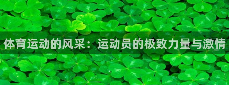 意昂5平台