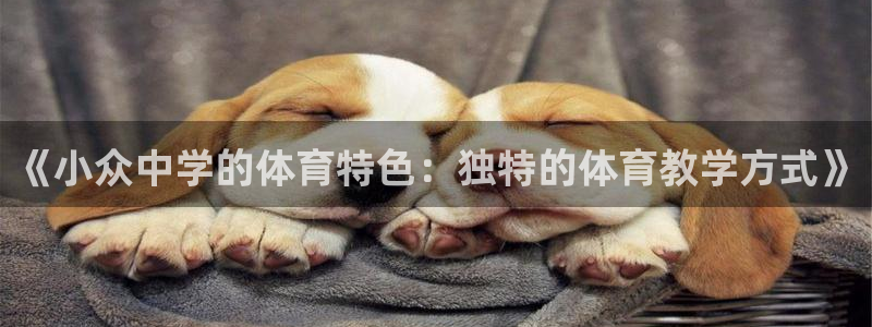 意昂5注册