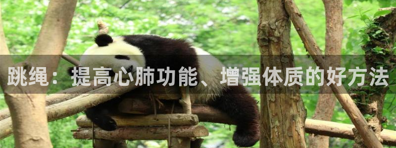意昂5体育2官网入口