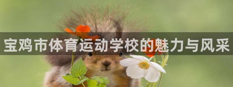 意昂5官网入口
