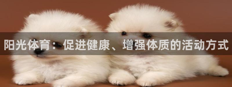 意昂5体育代理