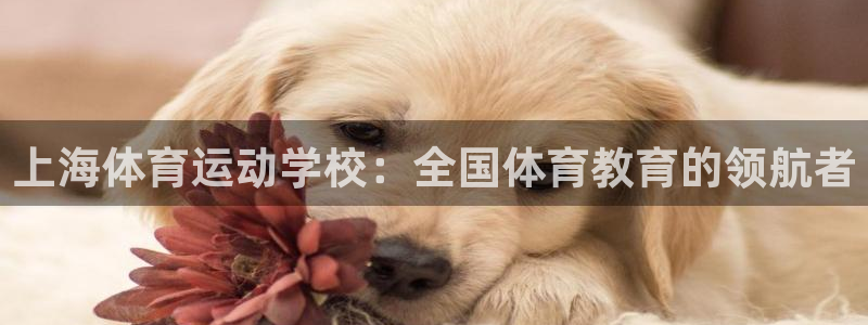 意昂平台注册