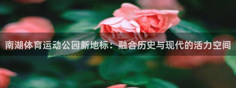 意昂5体育代理申请流程