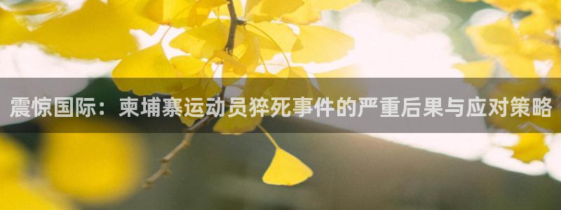 意昂体育3