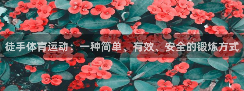 东莞市意昂电子科技有限公司