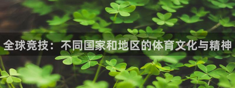 上海意昂5汽车电子有限公司
