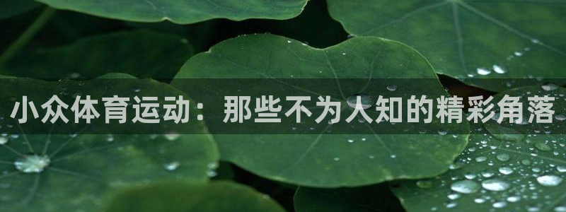 意昂5体育凯捷平台代理